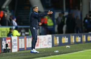 Championship Showdown: Brighton and Hove Albion vs. Huddersfield Town at John Smith's Stadium (18-08-2015)