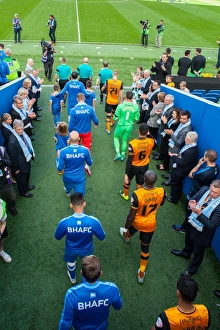 Championship Showdown: Brighton and Hove Albion vs. Hull City at American Express Community Stadium (September 12, 2015)