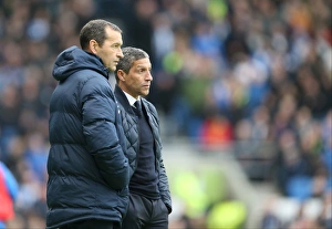 Championship Showdown: Brighton and Hove Albion vs. Huddersfield Town (23rd January 2016)