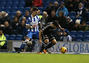 Championship Showdown: Brighton and Hove Albion vs. Brentford (05.02.2016)