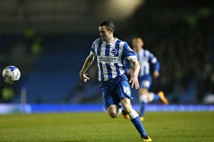 Championship Showdown: Brighton and Hove Albion vs. Sheffield Wednesday (08.03.2016)