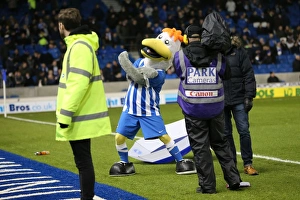 Sheffield Wednesday 08MAR16 Prints: Championship Showdown: Brighton and Hove Albion vs. Sheffield Wednesday (08.03.2016)