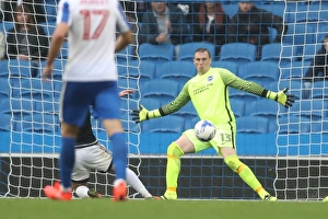 Championship Showdown: Brighton and Hove Albion vs. Brentford at American Express Community Stadium (10SEP16)