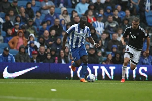 Championship Showdown: Brighton and Hove Albion vs. Brentford at American Express Community Stadium (10SEP16)