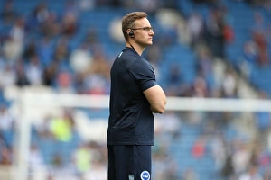 Championship Showdown: Brighton and Hove Albion vs. Brentford at American Express Community Stadium (10SEP16)