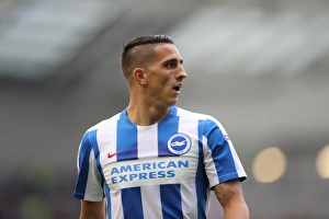 Championship Showdown: Brighton and Hove Albion vs. Brentford (10SEP16)