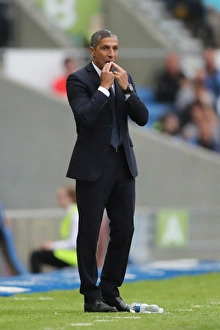 Championship Showdown: Brighton and Hove Albion vs. Brentford (10SEP16)