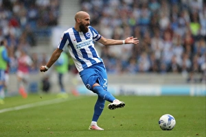 Championship Showdown: Brighton & Hove Albion vs. Brentford (10SEP16)