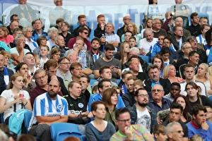 Championship Showdown: Brighton & Hove Albion vs. Brentford (10SEP16)