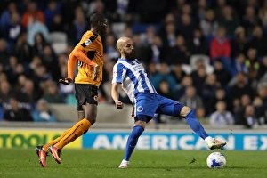 Championship Showdown: Brighton & Hove Albion vs. Wolverhampton Wanderers (19th October 2016)
