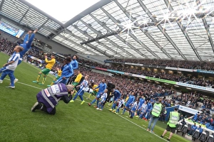 Championship Showdown: Brighton & Hove Albion vs. Norwich City (29Oct16) - American Express Community Stadium