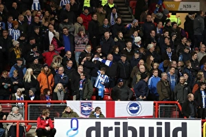 Championship Showdown: Brighton and Hove Albion vs. Bristol City at Ashton Gate Stadium (November 2016)