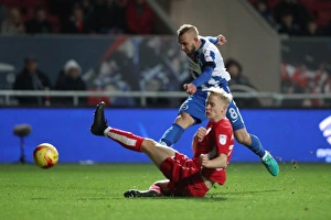 Championship Showdown: Brighton and Hove Albion vs. Bristol City at Ashton Gate Stadium (November 2016)