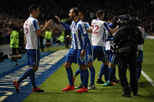 Championship Showdown: Brighton and Hove Albion vs. Aston Villa (November 18, 2016)