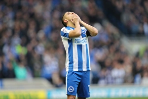 Championship Showdown: Brighton & Hove Albion vs. Fulham (26th November 2016) - American Express Community Stadium