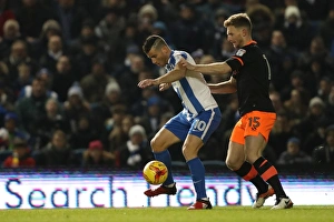 Championship Showdown: Brighton and Hove Albion vs. Sheffield Wednesday (January 2017)