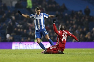Championship Showdown: Brighton & Hove Albion vs. Cardiff City (24th January 2017)