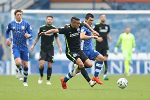 Championship Showdown: Brighton and Hove Albion vs Sheffield Wednesday (01/10/2016)