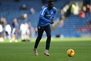 Championship Showdown: Burnley vs. Brighton & Hove Albion at Turf Moor (Nov 2015)