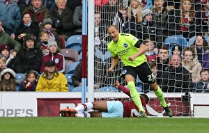 Championship Showdown: Burnley vs. Brighton & Hove Albion at Turf Moor (Nov 2015)