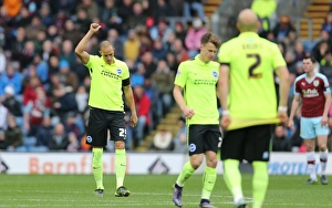 Championship Showdown: Burnley vs. Brighton & Hove Albion at Turf Moor (Nov 2015)