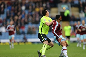 Championship Showdown: Burnley vs. Brighton & Hove Albion at Turf Moor (Nov 2015)