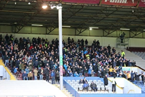 Championship Showdown: Burnley vs. Brighton and Hove Albion at Turf Moor (Nov 2015)