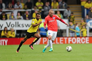Championship Showdown: Burton Albion vs. Brighton and Hove Albion at Pirelli Stadium (17SEP16)