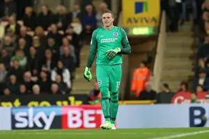 Championship Showdown at Carrow Road: Norwich City vs. Brighton & Hove Albion (21APR17)