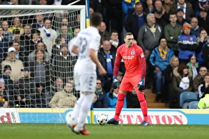 Championship Showdown: Leeds United vs. Brighton and Hove Albion at Elland Road (18MAR17)