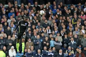 Images Dated 18th March 2017: Championship Showdown: Leeds United vs. Brighton and Hove Albion at Elland Road (18 March 2017)