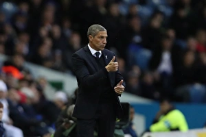 Championship Showdown: Leeds United vs. Brighton & Hove Albion at Elland Road (18March17)