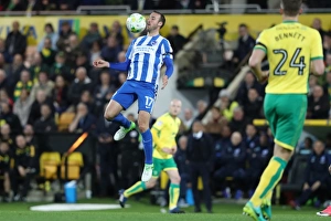 Championship Showdown: Norwich City vs. Brighton & Hove Albion at Carrow Road (21APR17)