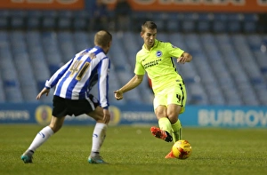 Championship Showdown: Sheffield Wednesday vs. Brighton & Hove Albion at Hillsborough Stadium (03NOV15)