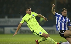 Championship Showdown: Sheffield Wednesday vs. Brighton & Hove Albion at Hillsborough Stadium (03NOV15)