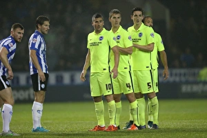 Championship Showdown: Sheffield Wednesday vs. Brighton & Hove Albion at Hillsborough Stadium (03NOV15)