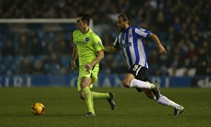 Championship Showdown: Sheffield Wednesday vs. Brighton & Hove Albion at Hillsborough Stadium (03NOV15)