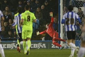 Championship Showdown: Sheffield Wednesday vs. Brighton & Hove Albion at Hillsborough Stadium (03 NOV 2015)