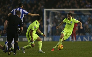 Championship Showdown: Sheffield Wednesday vs. Brighton & Hove Albion at Hillsborough Stadium (03NOV15)