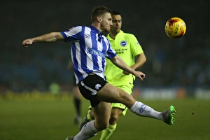 Championship Showdown: Sheffield Wednesday vs. Brighton and Hove Albion at Hillsborough Stadium (03NOV15)