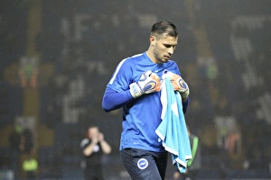 Championship Showdown: Sheffield Wednesday vs. Brighton & Hove Albion at Hillsborough Stadium (03NOV15)