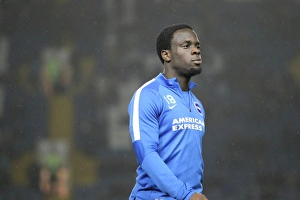 Championship Showdown: Sheffield Wednesday vs. Brighton & Hove Albion at Hillsborough Stadium (03NOV15)