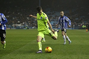 Championship Showdown: Sheffield Wednesday vs. Brighton & Hove Albion at Hillsborough Stadium (03 NOV 2015)
