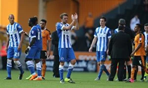 Images Dated 19th September 2015: Championship Showdown: Wolverhampton Wanderers vs. Brighton and Hove Albion at Molineux Stadium