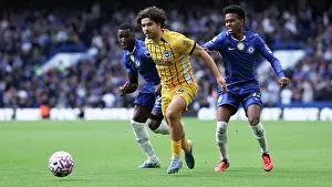 Chelsea 27SEP25 Prints: Chelsea v Brighton and Hove Albion
Premier League
27SEP25