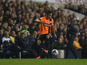 Tottenham Hotspur 29OCT14 Prints: Chicksen Stands Firm: Intense Moment from Tottenham vs. Brighton in the Capital One Cup