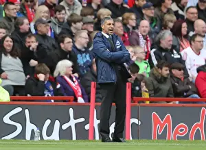 Middlesbrough 02MAY15 Prints: Chris Hughton Celebrates Brighton's Championship Win Against Middlesbrough (02MAY15)