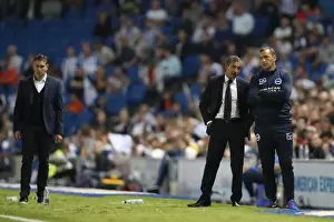 Nottingham Forest 12AUG16 Prints: Chris Hughton and Colin Calderwood Leading the Charge: Brighton and Hove Albion vs