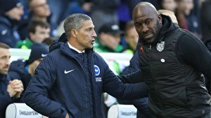 Images Dated 26th January 2019: Chris Hughton and Darren Moore's Pre-Match Greetings: Brighton & Hove Albion vs