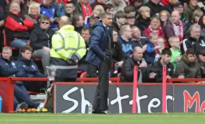 Middlesbrough 02MAY15 Prints: Chris Hughton Focused: Brighton Boss at Riverside Stadium During Middlesbrough Clash (02MAY15)